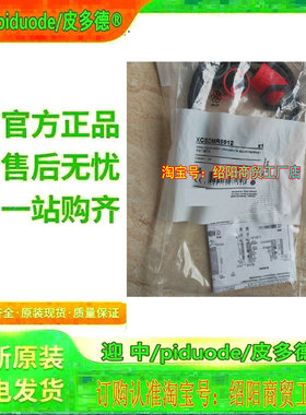现货XCSDMR5912 XCSDMR5902 XCSDMR590L01M12安全门锁开关