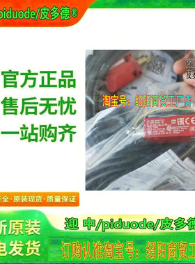 XCSM3916L1 XCSM4102L2 XCSM4116L1 XCSM4110L2安全限位开关