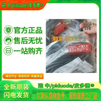 XCSM3910L2 XCSM3910L5 XCSM3915L2 XCSM3916L2安全门锁开关