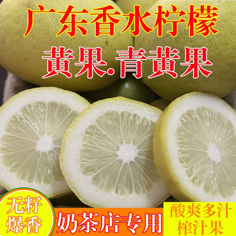 正宗广东香水柠檬应当季无籽新鲜青黄果黄果奶茶店商用手打柠檬茶