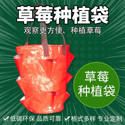 3加仑草莓种植袋 吊挂草莓袋  flower pots 悬挂式花球袋植物吊篮