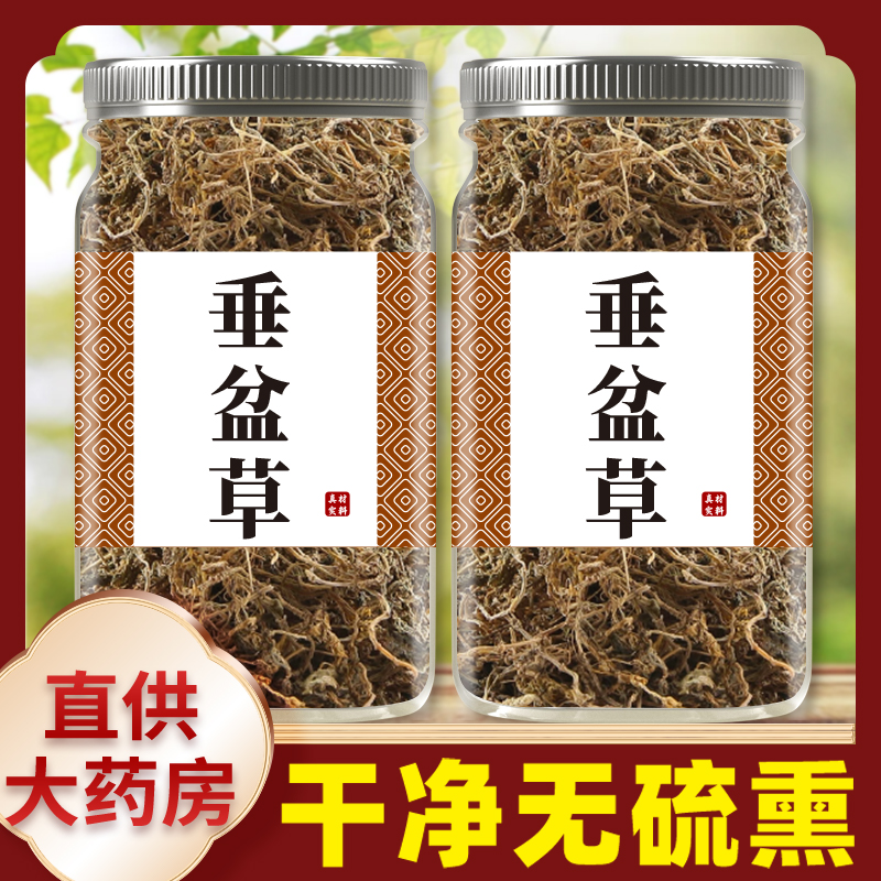 垂盆草中药500g食用正品泡茶中药材批发市场泡水批发干垂盆草作用