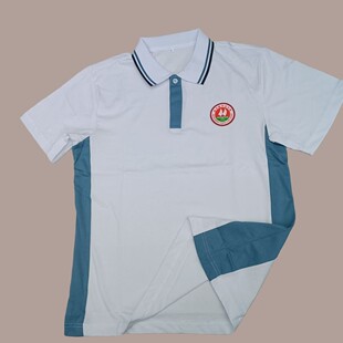 汕尾市海陆丰高中生夏季旧款短袖纯棉翻领男女上衣