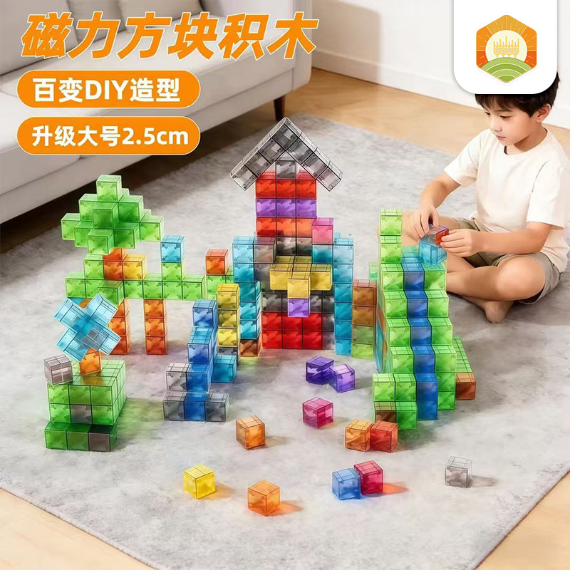 磁力方块积木强磁透明2.5cm大颗粒DIY儿童益智早教空间思维玩具