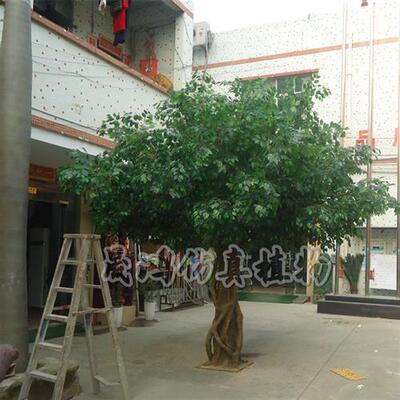 东莞市仿真榕树厂家大型玻璃钢包住榕树餐厅酒店人造榕树装饰