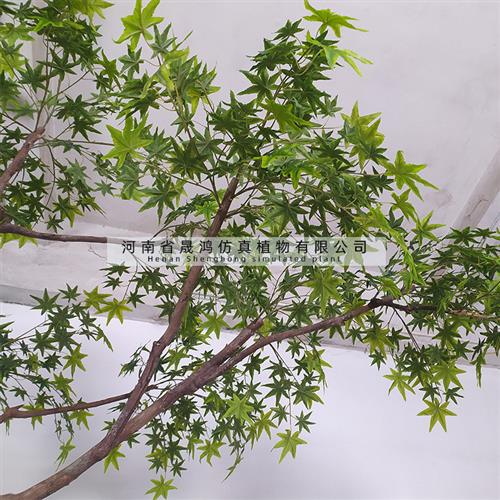 枫树仿真树大型植物假树枫树盆栽实木白桦树仿真绿植盆景枫杨树