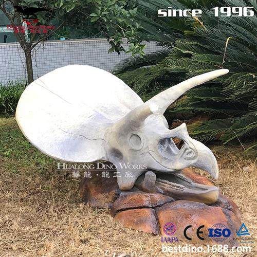 仿真恐龙玻璃钢模型制作工厂三角龙头骨化石骨架科普展览收藏,文具电教/文化用品/商务用品,教学标本/模型,淘宝优惠券,粉丝福利购,淘宝优惠卷