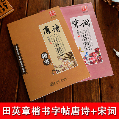 国学经典田英章书硬笔楷书字帖唐诗三百首+宋词三百首学生正楷字帖成人钢笔字帖硬笔临摹描红练字大学生字帖
