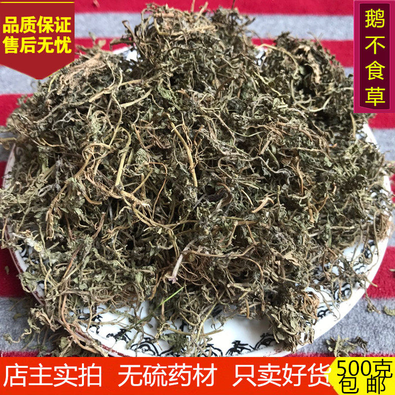 鹅不食草 中药材 精选鹅不食草 石胡蒌 饿不吃草 地胡椒500克包邮