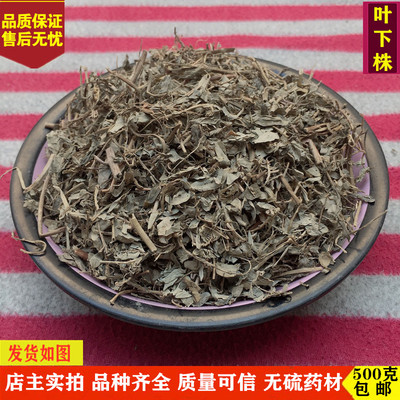 中药材 叶下珠 精选 叶下珠草 无硫 野生珍珠草 鱼鳞草 500g包邮