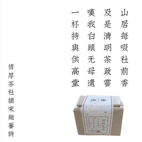 信阳毛尖老旱茶博厚茶社新茶散装
