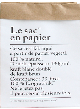北欧风格纸袋尤加利叶植物假花
