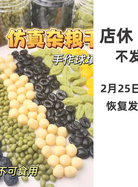 仿真五谷杂粮干果坚果手作球填充物手工diy材料包捏捏装饰物食玩