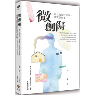 微创伤 你以为没什么事 其实很有事 Tiny Traumas 港台原版 Meg Arroll 知田出版