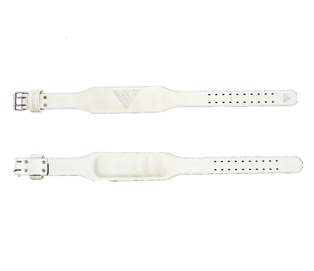 gymog健身腰带健美健体