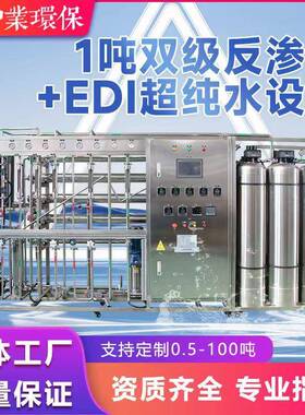 净水双级反渗透EDI超纯水设备电子元器件配液室纯水机过滤器设备