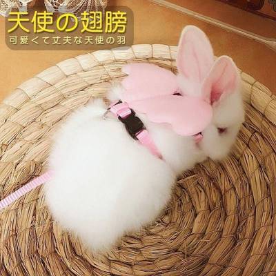 兔子衣服牵引绳夏天溜小兔子穿的防挣脱可爱侏儒兔专用宠物户外