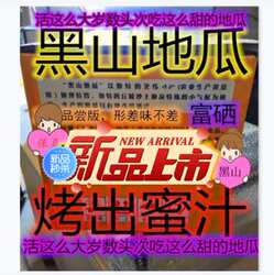 黑山地瓜蜜汁红薯烟薯25尝鲜版五斤包邮单个2两以下好烤地瓜红薯