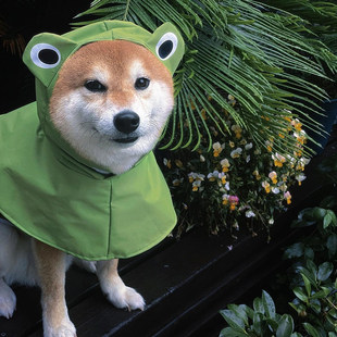 狗狗雨衣青蛙斗篷小中型犬宠物用品柴犬柯基专用四脚防水全包衣服