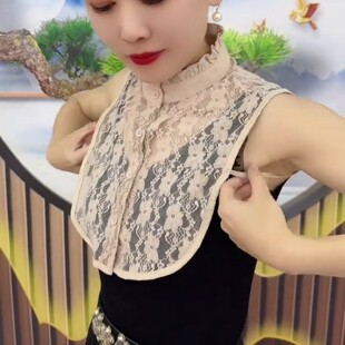 蕾丝假领子百搭女士高档内搭花边领子薄款装饰半高领纱衣衬衣立领
