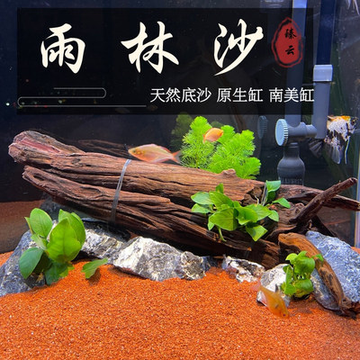 Tropical rainforest sand fish tank landscape multiple colors