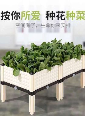 Rectangular flowerpots for vegetables on the family balcony