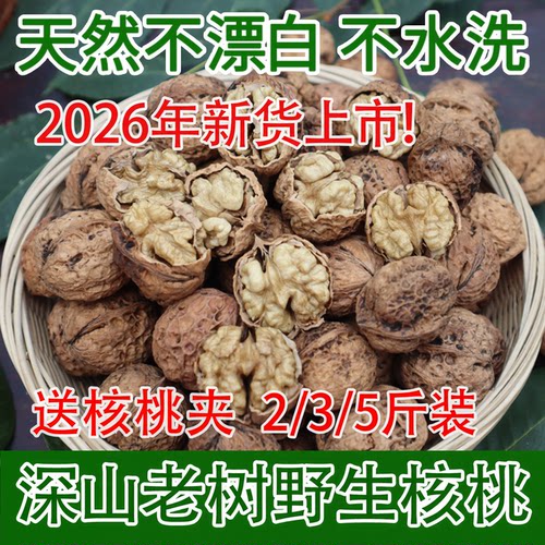 源山甄老树薄皮干核桃原味生核桃