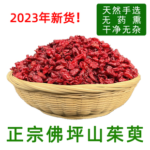 2023年新货佛坪野生山茱萸山萸肉山芋枣皮泡茶喝优质精选无核500g