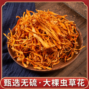 炖菇菌材料包100g 虫草花陕西特产干货正品 煲汤食材蛹虫草菌子