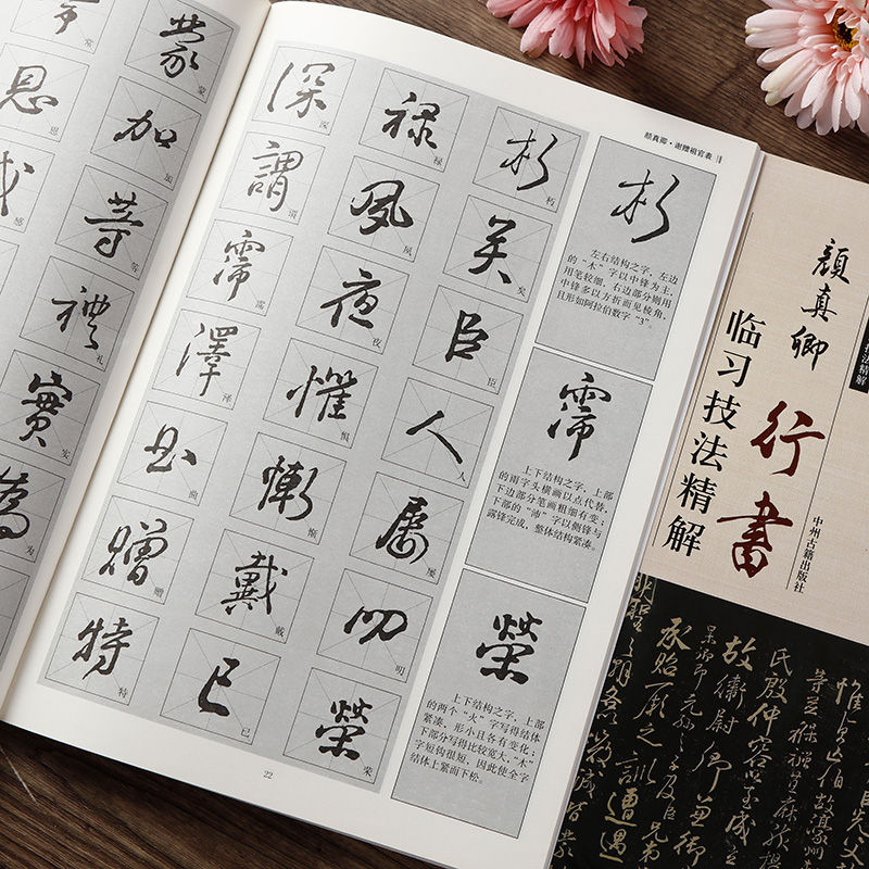 颜真卿行书临习技法精解  8开大本 97页