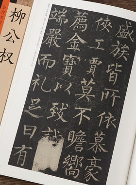 柳公权 历代名家书法珍品 许裕长 中州古籍 超清原贴成人学生毛笔书法练字字帖作品临摹研究局部 柳公权玄秘塔碑 神策军碑彩色大本