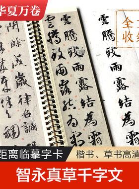 华夏万卷 毛笔近距离临摹字卡 智永真草千字文 墨迹本草书行草高清还原临帖练字帖教程 智永草书书法临摹字卡 草书千字文字卡字帖