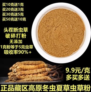 正宗藏区冬虫夏草粉正品 高原虫草打粉礼盒滋补虫草粉 淘宝好货