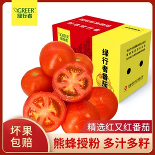 绿行者红又红番茄5斤西红柿新鲜自然熟蔬菜大红番茄新鲜沙瓤有籽