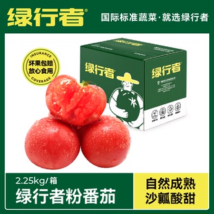 粉番茄新鲜西红柿沙瓤新鲜自然熟可生吃番茄酸甜水果 绿行者