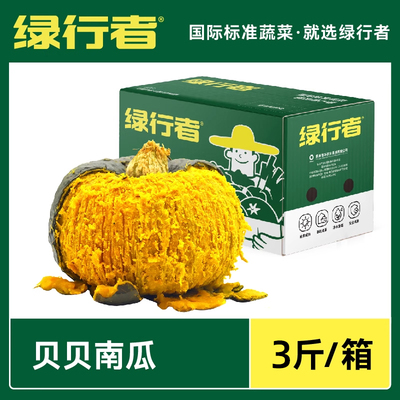 绿行者正宗贝贝南瓜板栗味小南瓜