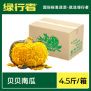 新鮮貝貝南瓜正宗板栗味小南瓜山東新鮮粉面粉糯4.5斤 綠行者