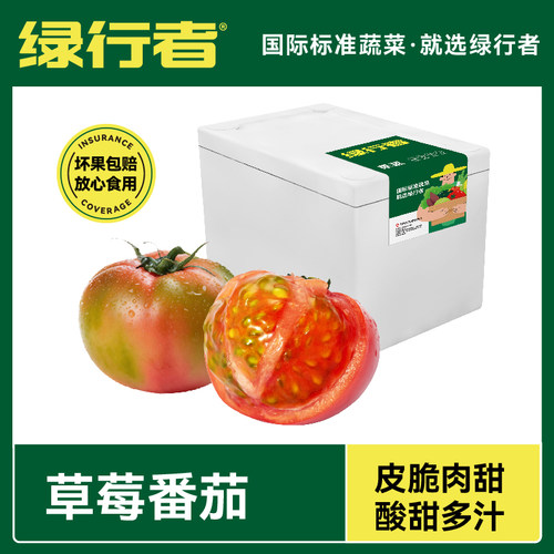 绿行者草莓番茄铁皮柿子酸甜多汁