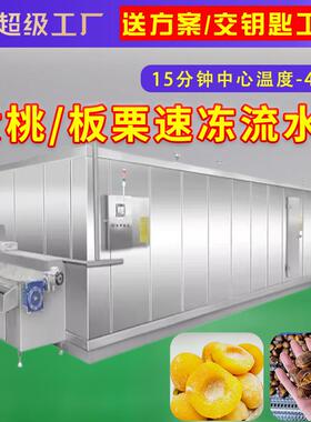 黄桃罐头速冻机流水线黄桃速冻加工设备商用隧道板栗预冷速冻机