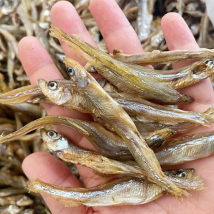 云南大理特产洱海生态公鱼 公鱼干鱼干 淡水湖鱼干 小鱼干