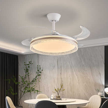 现代简约风扇灯客厅餐厅吊灯护眼LED吊扇灯电扇家用灯具