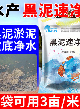 黑泥克星速净水产养殖底改王改底片分解淤泥鱼塘虾蟹池塘净化水质