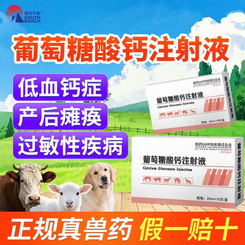 葡萄糖酸钙兽用注射用液口服液体钙猪牛羊马宠物狗狗犬猫补钙针剂