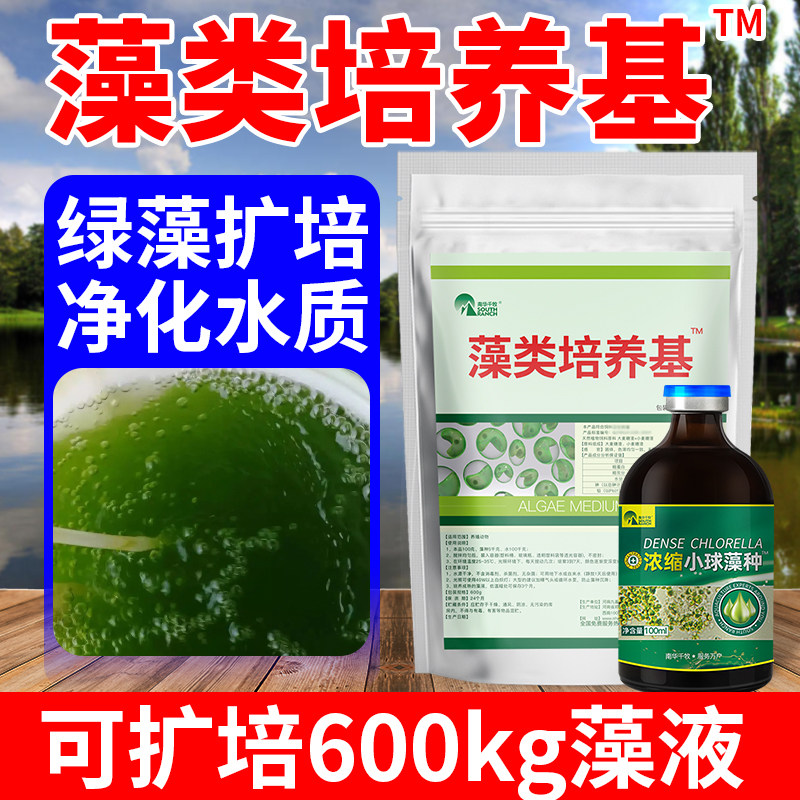 南华千牧小球藻培养基复合藻种鱼塘水库水产养殖绿藻培养肥水调水