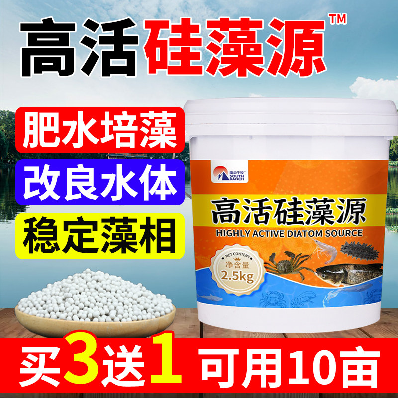 高活硅藻源水产养殖稳定藻相鱼虾蟹塘用低温肥水培藻增氧复合藻种