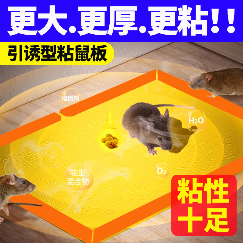 超强力粘鼠板捉粘大老鼠贴沾胶抓灭鼠捕鼠神器超强正品家用一窝端,宠物/宠物食品及用品,家养大动物器械,淘宝优惠券,粉丝福利购,淘宝优惠卷