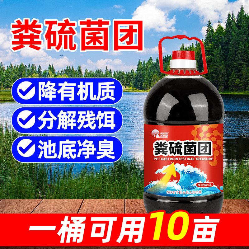粪硫菌团生物活菌改底调水净水