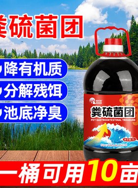 粪硫菌团水产养殖专用调水净水稳水底改王生物底改除黑除臭增氧