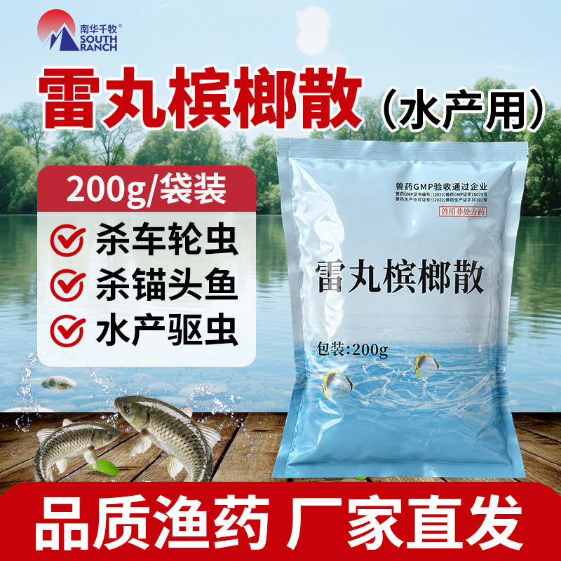 雷丸槟榔散水产鱼塘用车轮净专杀车轮虫斜管虫锚头鳋长红点专用药