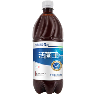 鸽活菌王鸽用非鸽药拉稀水绿便保健调理肠道用品鸽子药常见病大全